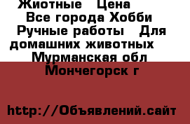 Жиотные › Цена ­ 50 - Все города Хобби. Ручные работы » Для домашних животных   . Мурманская обл.,Мончегорск г.